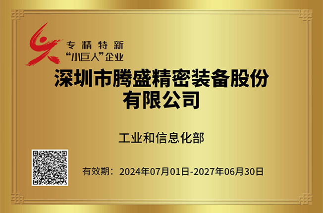 國家專精特新“小巨人”企業